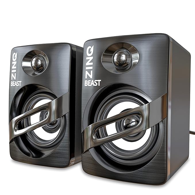 Zinq Beast portable multimedia speaker black