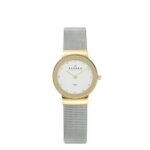 Skagen 358SGSCDI women's watch